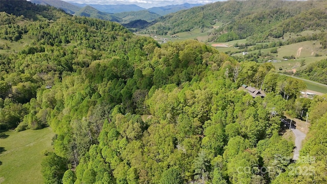 72 Lonesome Pines Rd, Clyde, NC 28721