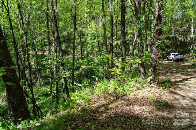 72 Lonesome Pines Rd, Clyde, NC 28721