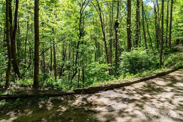 72 Lonesome Pines Rd, Clyde, NC 28721