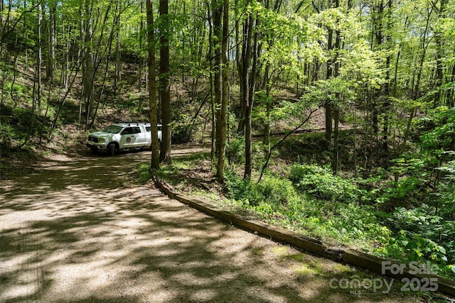 72 Lonesome Pines Rd, Clyde, NC 28721