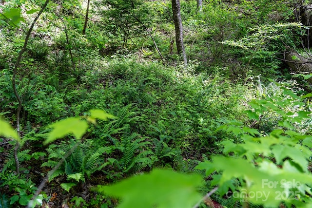 72 Lonesome Pines Rd, Clyde, NC 28721