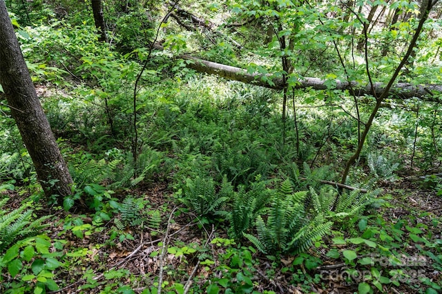 72 Lonesome Pines Rd, Clyde, NC 28721