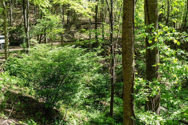 72 Lonesome Pines Rd, Clyde, NC 28721