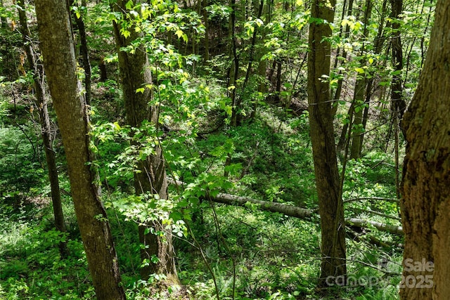 72 Lonesome Pines Rd, Clyde, NC 28721
