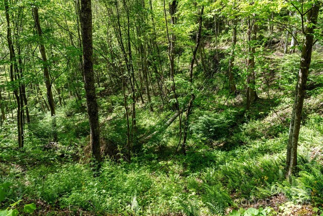 72 Lonesome Pines Rd, Clyde, NC 28721