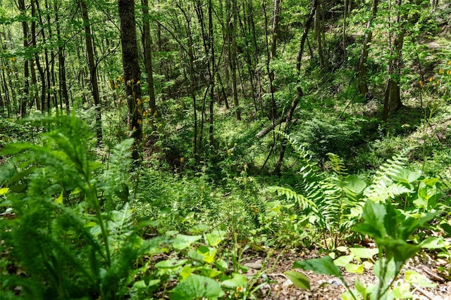 72 Lonesome Pines Rd, Clyde, NC 28721