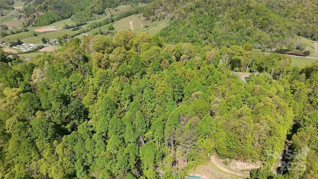72 Lonesome Pines Rd, Clyde, NC 28721