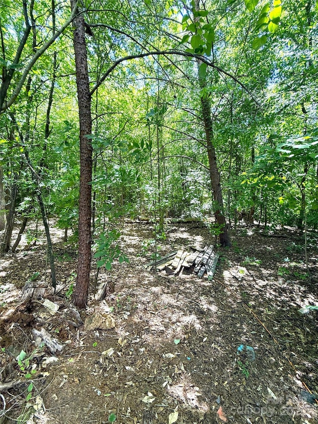 3906 Hubbard Rd, Charlotte, NC 28269