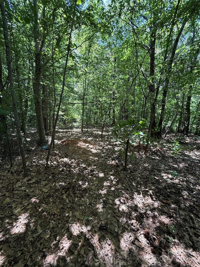 3906 Hubbard Rd, Charlotte, NC 28269