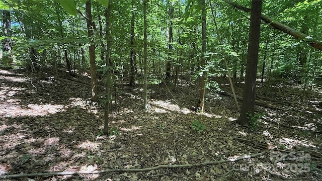 3906 Hubbard Rd, Charlotte, NC 28269