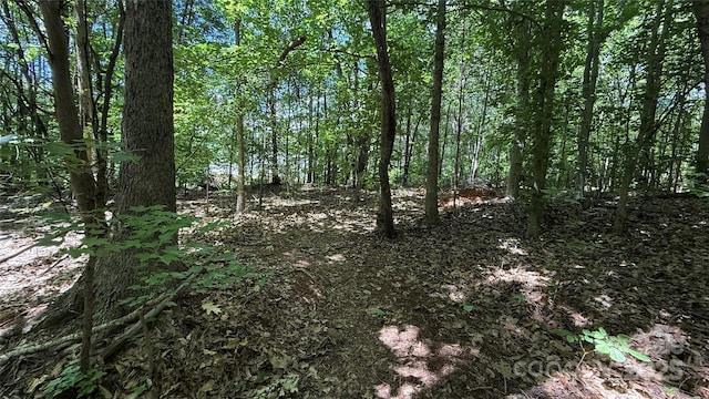 3906 Hubbard Rd, Charlotte, NC 28269
