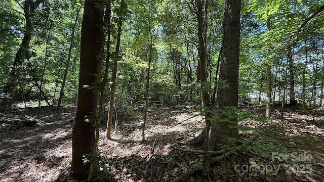 3906 Hubbard Rd, Charlotte, NC 28269