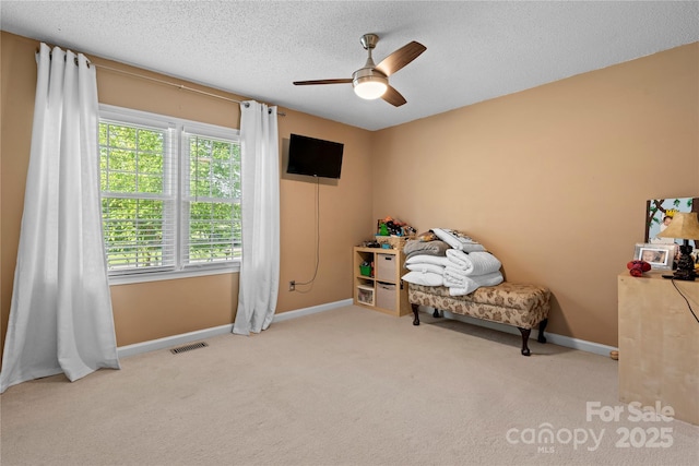 5750 Ellenwood Dr, Granite Falls, NC 28630 - carpeted bedroom with baseboards, a textured ceiling, and a ceiling fan