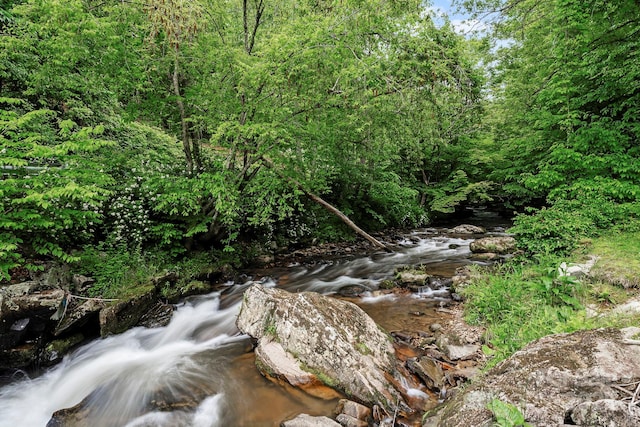 14518 Big Laurel Rd, Mars Hill, NC 28754 - view of tree filled area