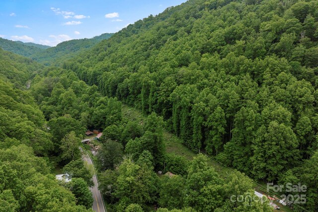 14518 Big Laurel Rd, Mars Hill, NC 28754 - view of mountain backdrop featuring a heavily wooded area