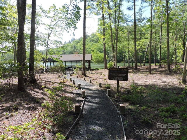0 Swiss Pine Lake Dr, Spruce Pine, NC 28777