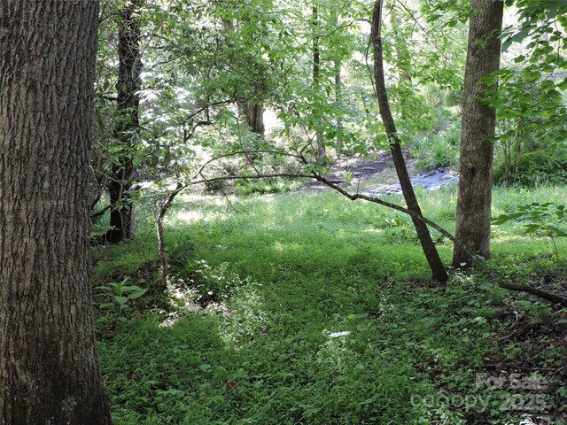 0 Swiss Pine Lake Dr, Spruce Pine, NC 28777