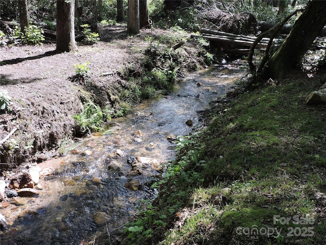 0 Swiss Pine Lake Dr, Spruce Pine, NC 28777