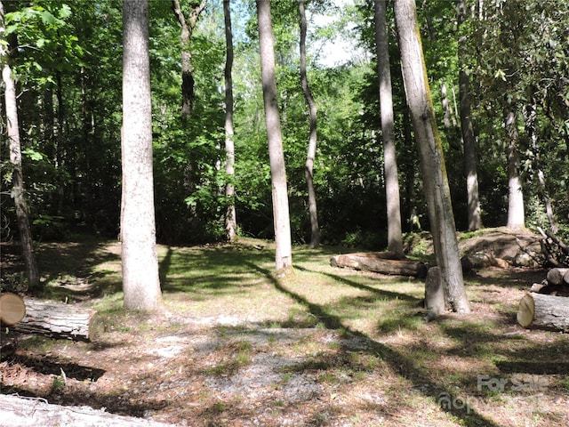 0 Swiss Pine Lake Dr, Spruce Pine, NC 28777