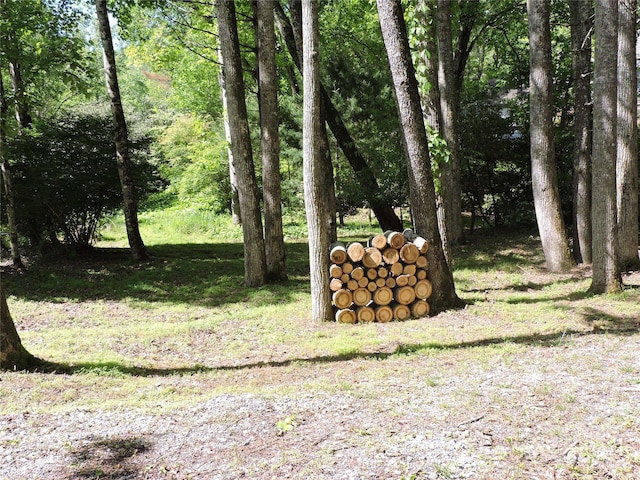 0 Swiss Pine Lake Dr, Spruce Pine, NC 28777