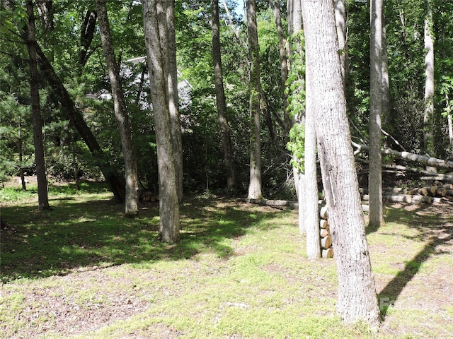 0 Swiss Pine Lake Dr, Spruce Pine, NC 28777