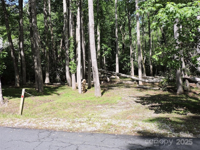 0 Swiss Pine Lake Dr, Spruce Pine, NC 28777