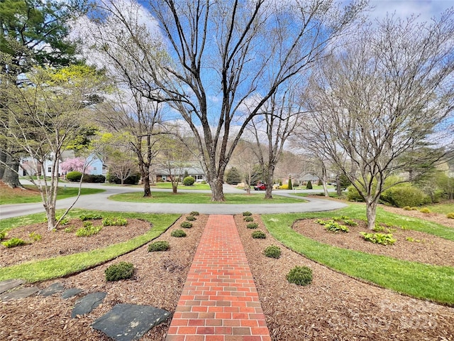 303 Wade E Vannoy Dr, West Jefferson, NC 28694 - view of yard featuring a residential view
