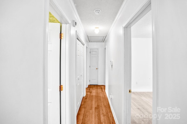8901 English Saddle Ln, Charlotte, NC 28273 - photo 18