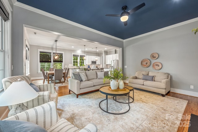 1620 Arnold Dr, Charlotte, NC 28205 - photo 19