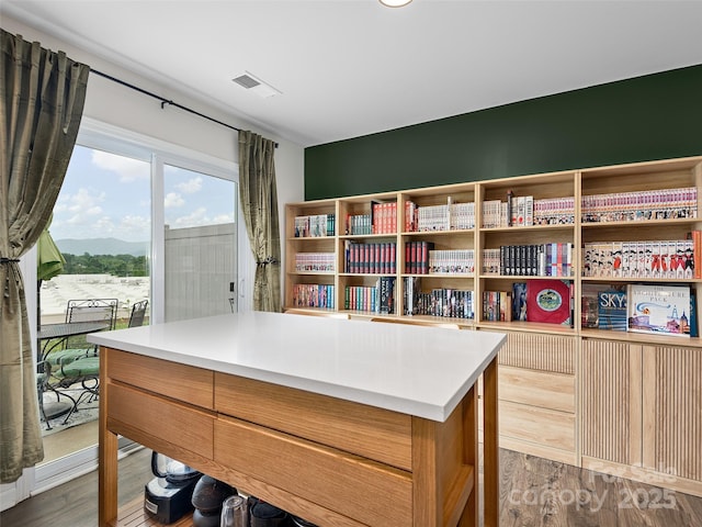 32 Benedict Ln, Weaverville, NC 28787 - office space featuring wood finished floors and a mountain view