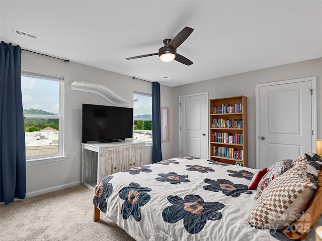 32 Benedict Ln, Weaverville, NC 28787 - bedroom featuring baseboards, carpet, and ceiling fan
