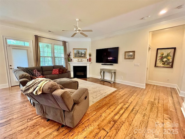 1025 N Sharon Amity Rd, Charlotte, NC 28211 - living area with crown molding, ceiling fan, hardwood / wood-style flooring, baseboards, and a fireplace with flush hearth