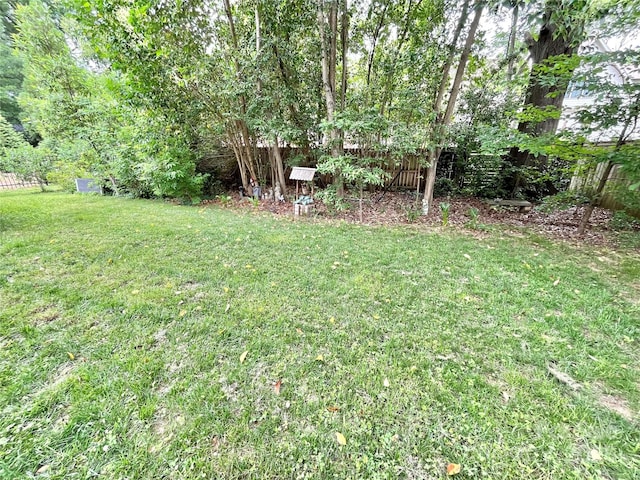 1025 N Sharon Amity Rd, Charlotte, NC 28211 - view of yard