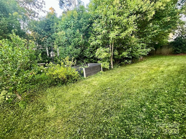 1025 N Sharon Amity Rd, Charlotte, NC 28211 - view of yard featuring a vegetable garden