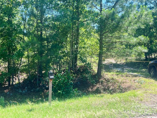1371 Jones Rd, Kershaw, SC 29067