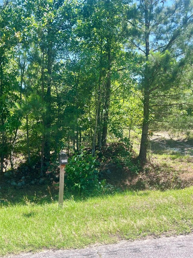 1371 Jones Rd, Kershaw, SC 29067