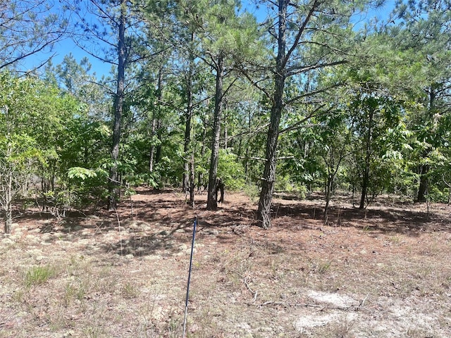 1371 Jones Rd, Kershaw, SC 29067