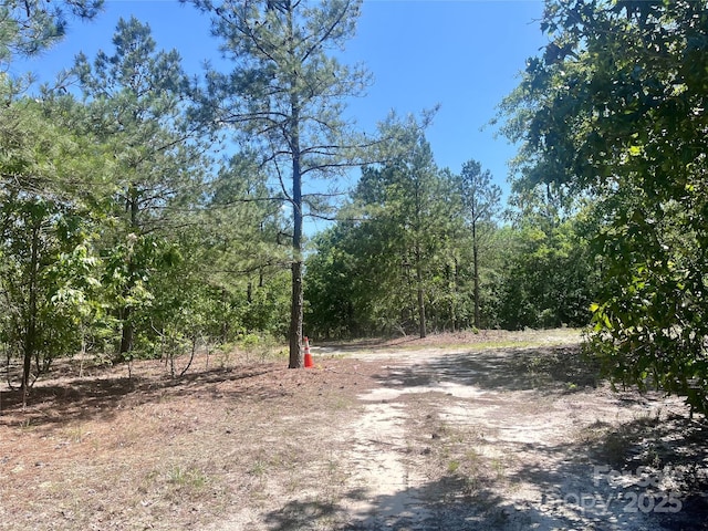1371 Jones Rd, Kershaw, SC 29067
