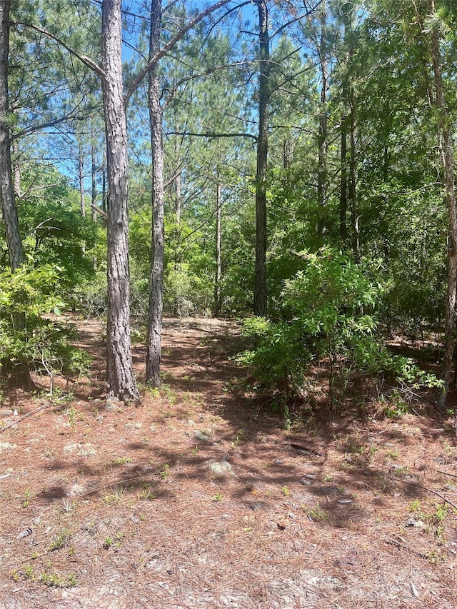 1371 Jones Rd, Kershaw, SC 29067