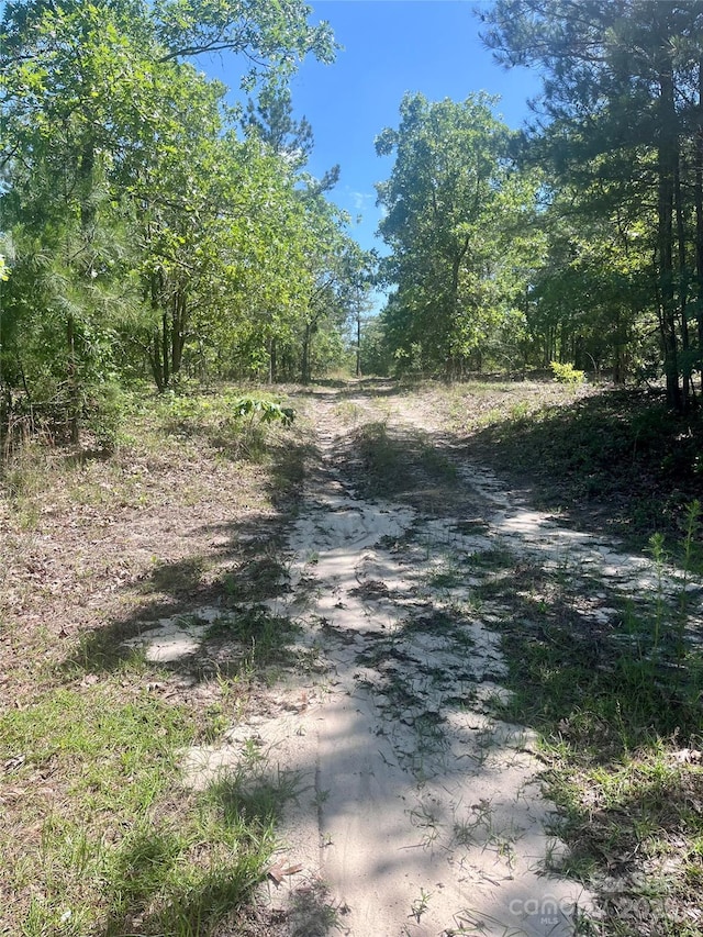 1371 Jones Rd, Kershaw, SC 29067
