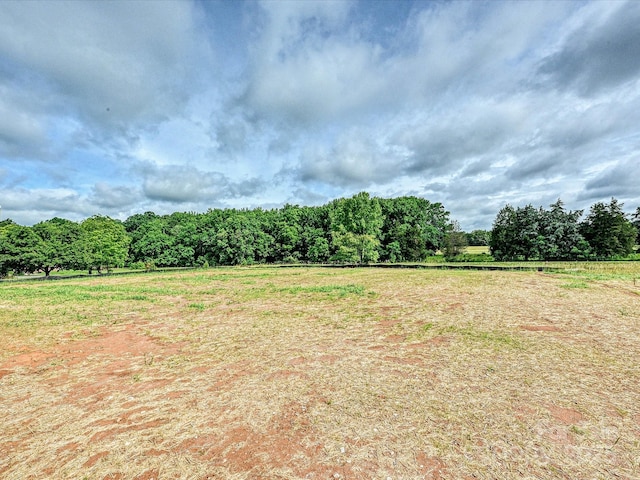 1172 Springlake Rd, York, SC 29745 - view of yard with a rural view