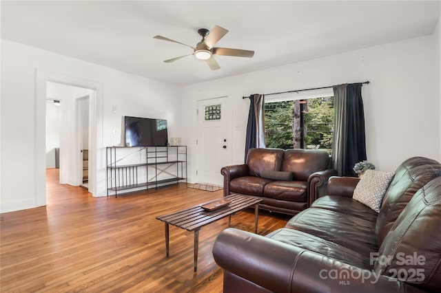 17 Springdale Ave, Asheville, NC 28803 - living area featuring wood finished floors and ceiling fan
