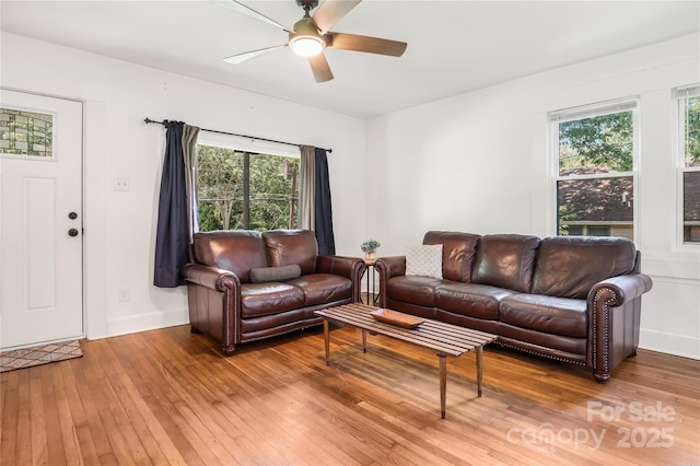 17 Springdale Ave, Asheville, NC 28803 - living area with hardwood / wood-style floors, ceiling fan, and baseboards