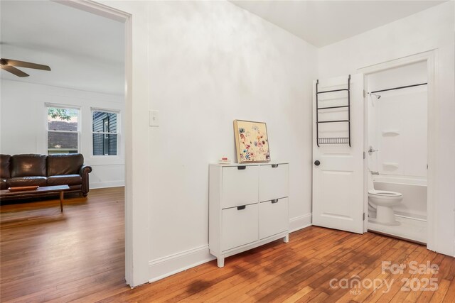17 Springdale Ave, Asheville, NC 28803 - entrance foyer with light wood-type flooring, ceiling fan, and baseboards