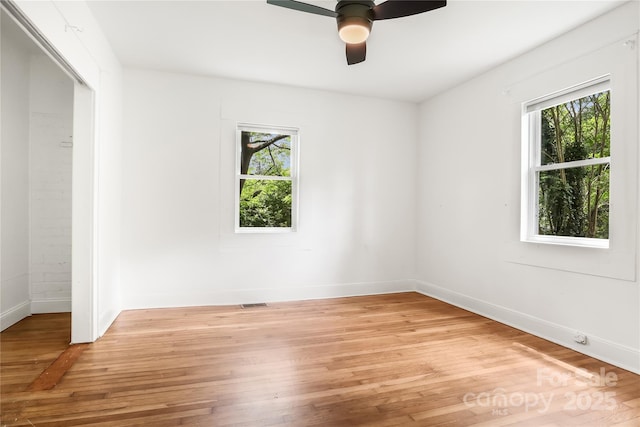 17 Springdale Ave, Asheville, NC 28803 - photo 25