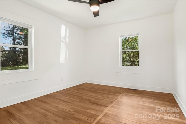 17 Springdale Ave, Asheville, NC 28803 - photo 29