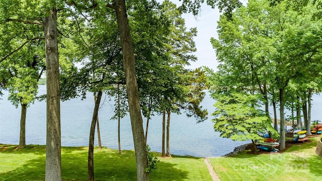 302 NW Dr, Davidson, NC 28036 - water view