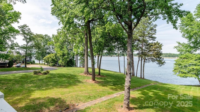 302 NW Dr, Davidson, NC 28036 - view of green lawn with a water view