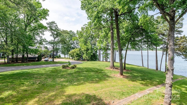 302 NW Dr, Davidson, NC 28036 - view of green lawn with a water view