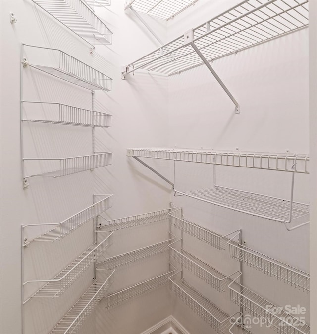 302 NW Dr, Davidson, NC 28036 - view of spacious closet